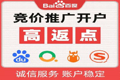 百度竞价排名机制：成功案例与策略探讨